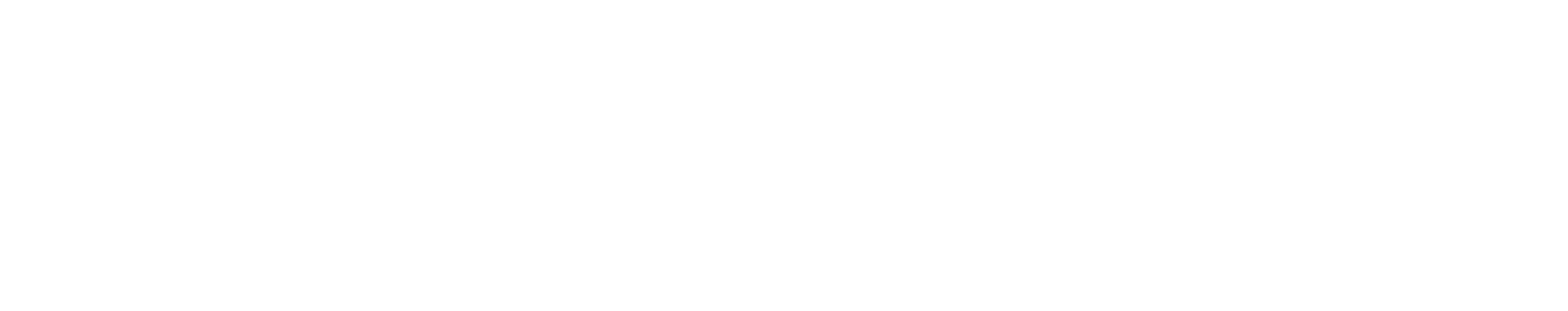 Mochisoft GmbH
